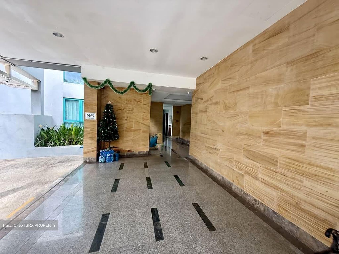 Celadon View (D17), Apartment #535587871
